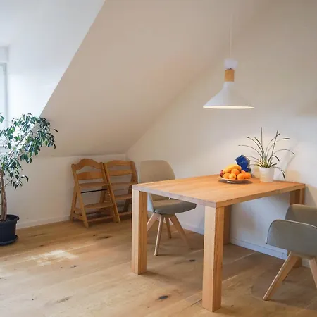 Modernes Und Helles Im Loft Stil Heidelberg